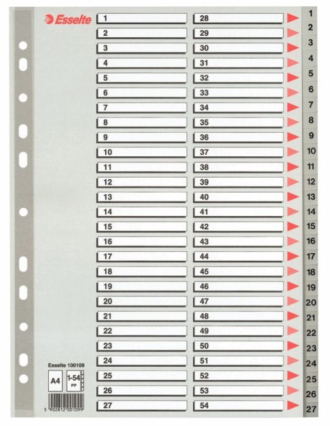 Przekładka numeryczna A4 szara 54k 1-54 Esselte (100109)