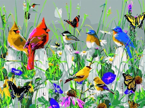 Zestaw kreatywny Malowanie po numerach 30x40cm Ptaszki Flamingo Line (FSY180)