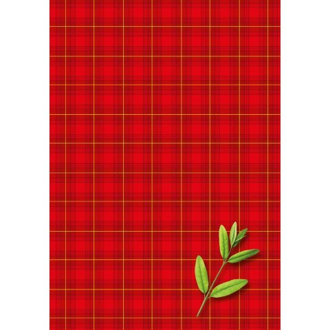 Brulion A4 300k. krata Kreska