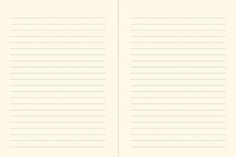 Notes (notatnik) Pozłacane Motyle (Gilded Butterflies). A5 80k. linia