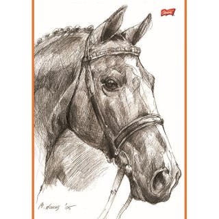 Notes (notatnik) szkicownik konie A4 20k. czysty Unipap