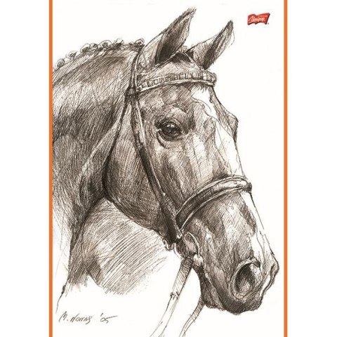 Notes (notatnik) szkicownik konie A4 20k. czysty Unipap