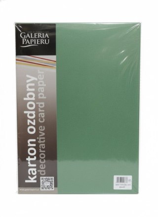 Papier ozdobny (wizytówkowy) Earth A4 Zielony 220g Galeria Papieru (204707)