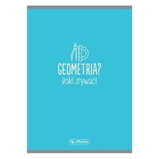 Zeszyt Geometria 9583352 A5 32k. gładki Herlitz (300023106)