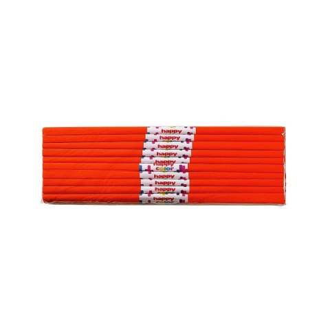 Bibuła Happy Color (HA 3640 5020-24)