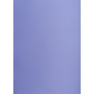 Brystol purpurowy B2 purpurowy 225g 50k Creatinio (400150341)