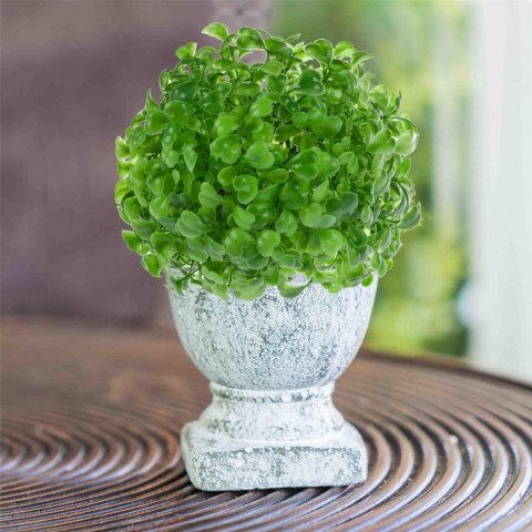 Gałązka Kula z bukszpanu Arpex (VW7781)