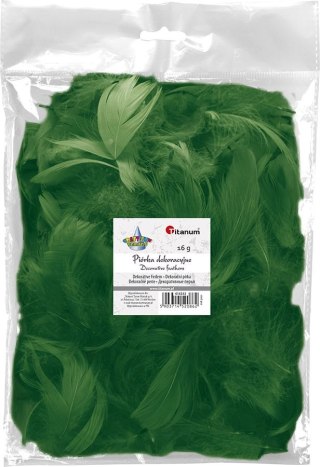 Piórka Craft-Fun Series zielony ciemny Titanum