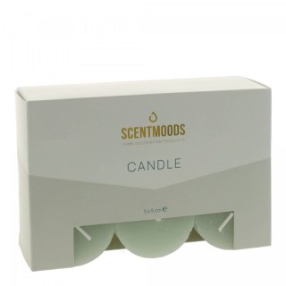 Świeca pieńkowa 5x5cm 6szt., w kolorze Green Pavoncella (8720935400905)