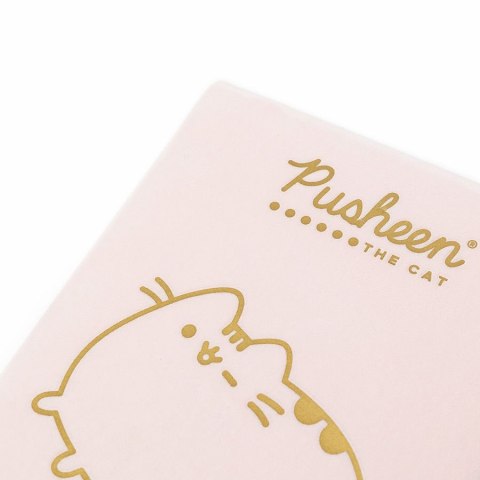 Notes (notatnik) Pusheen A5 Unipap