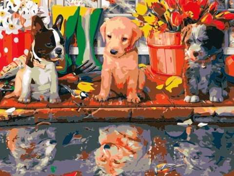 Zestaw kreatywny Malowanie po numerach 30x40cm Szczenięta Flamingo Line (FSY79)