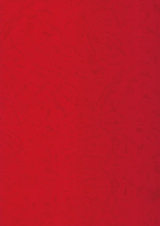 Karton do bindowania skóropodobny A4 czerwony 250g Titanum