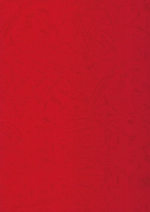 Karton do bindowania skóropodobny A4 czerwony 250g Titanum