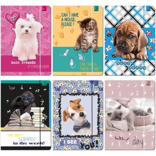 Teczka kartonowa na gumkę A4 mix Ev-corp (TA4BF1)