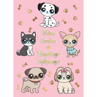 Kartka składana B6 pieski B6 Henry (5905701484195)