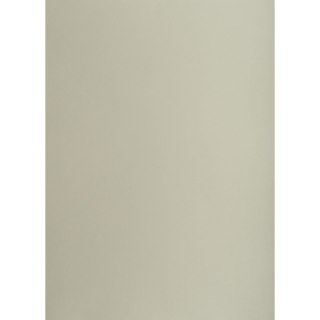 Brystol A3 szary 160g 25k [mm:] 297x420 TOP-2000 (400150186)