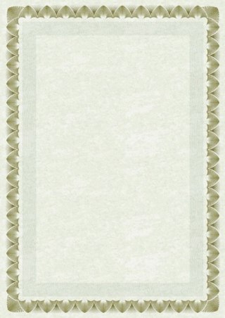 Dyplom arkady złote A4 170g Galeria Papieru (210717)