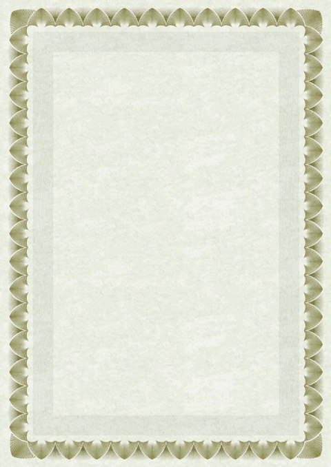 Dyplom arkady złote A4 170g Galeria Papieru (210717)