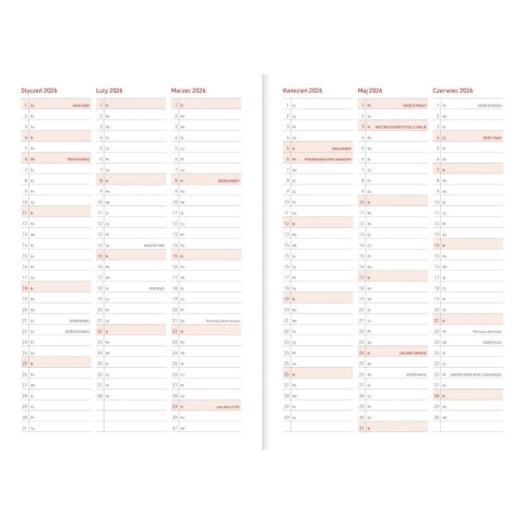Kalendarz nauczyciela książkowy (terminarz) PCV BEZBARWNY terminarz nauczyciela B5 Wydawnictwo Wokół Nas (KWIATY)