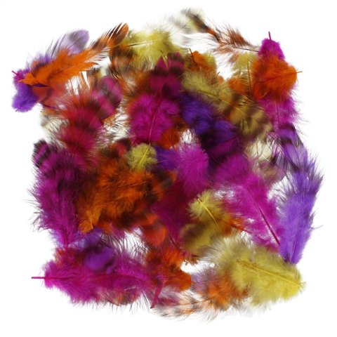 Piórka mix Craft With Fun (545788)