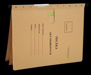 Skoroszyt A4 siarczanowy karton 230g Esselte (15211)