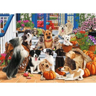 Puzzle 1000 el. Trefl (20149)