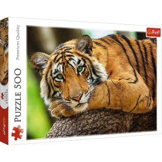 Puzzle Portret tygrysa 500 el. Trefl (37397)
