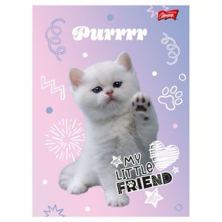 Zeszyt My Little Friend Unipap