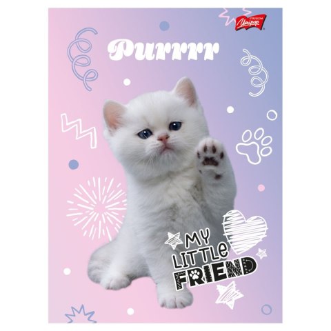 Zeszyt My Little Friend Unipap
