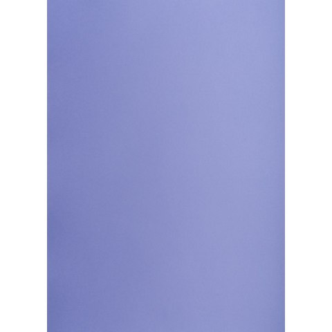 Brystol purpurowy B1 purpurowy 225g 1k Creatinio (400150271)