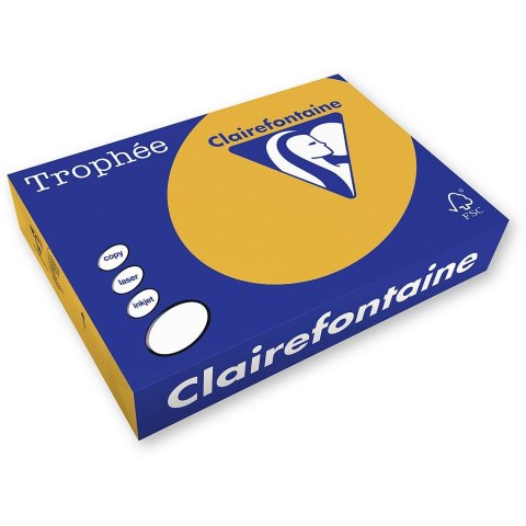 Papier kolorowy kolorowy A4 brązowy wielbłądzi 250k. 160g Trophee (xca41102)