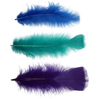 Piórka Craft-Fun Series mix Titanum (16079G)