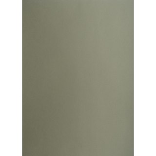 Brystol SZARY CIEMNY B1 SZARY 225g 25k Creatinio (400150255)