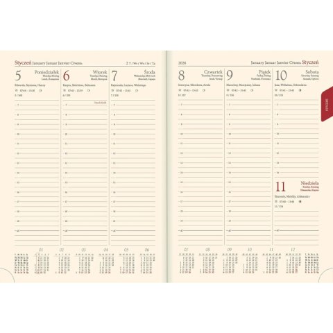Kalendarz książkowy (terminarz) Vivella terminarz B5 Lucrum (51T-V)