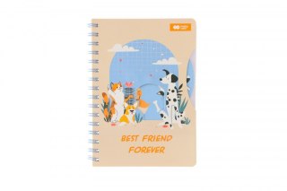 Notes (notatnik) A5 80k. kropki Happy Color (HA 4742 2115-CD80GD)