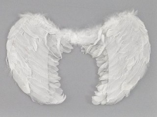 Skrzydełka Anioła 60x42cm Adar (444041)