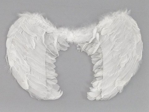 Skrzydełka Anioła 60x42cm Adar (444041)