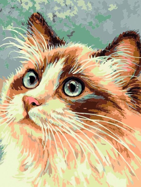 Zestaw kreatywny Malowanie po numerach 30x40cm Kot 1 Flamingo Line (FC222)