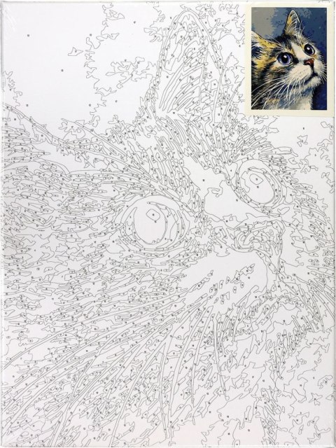 Zestaw kreatywny Malowanie po numerach 30x40cm Kot 1 Flamingo Line (FC222)