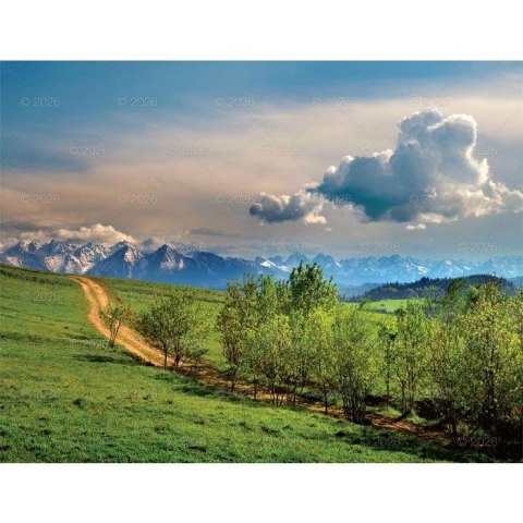 Kalendarz ścienny PEJZAŻE POLSKIE 13-planszowe 320mm x 470mm Lucrum (RW01)