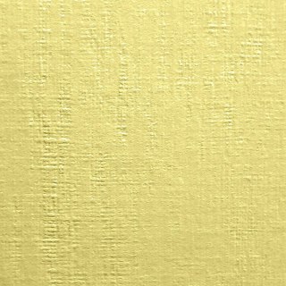 Papier ozdobny (wizytówkowy) A4 kremowy 246g Protos