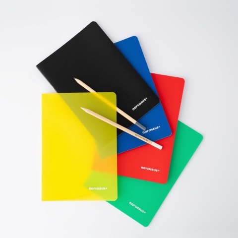 Zeszyt PP Narcissus