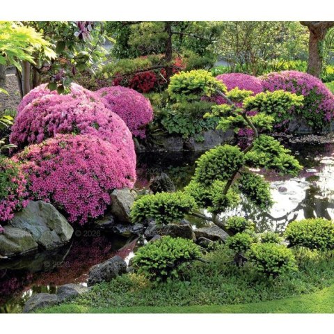 Kalendarz ścienny OGRODY RAJSKIE 13-planszowe 2024 320mm x 470mm Lucrum (RW11)