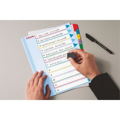 Przekładka numeryczna MYLAR A4 mix kolorów 160g 12k 1-12 Esselte (100209)