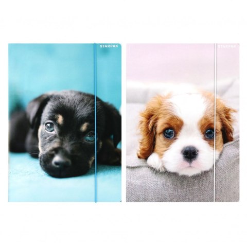 Teczka kartonowa na gumkę Pieski A4 mix Starpak (559719)