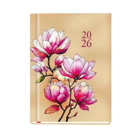 Kalendarz książkowy (terminarz) Ola A6 148mm x 105mm Michalczyk i Prokop (T-212V-C,N,P,S,Z)