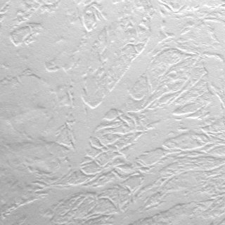 Papier ozdobny (wizytówkowy) A4 biały 246g Protos