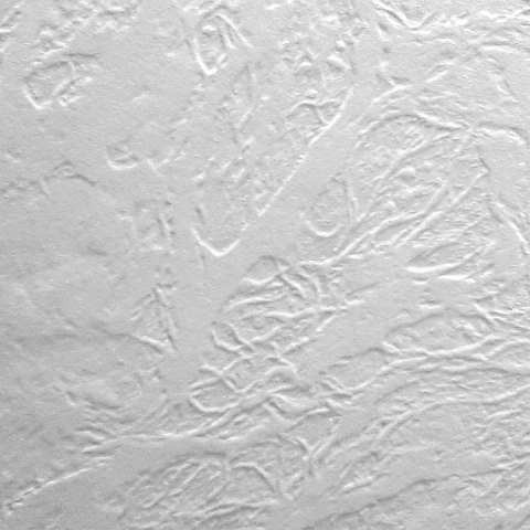 Papier ozdobny (wizytówkowy) A4 biały 246g Protos