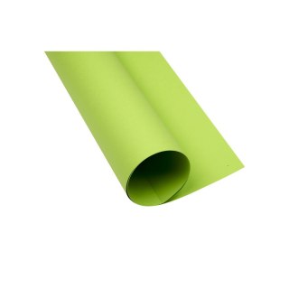 Brystol zielony jasny B2 zielony Creatinio (400150337)