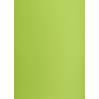 Brystol zielony jasny B2 zielony Creatinio (400150337)